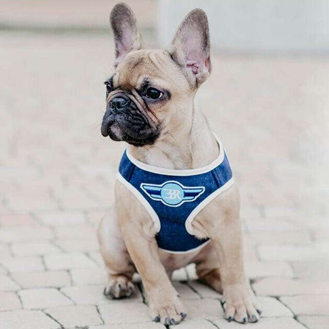 Navy DENIM Dog Harness from Bowl & Bone
