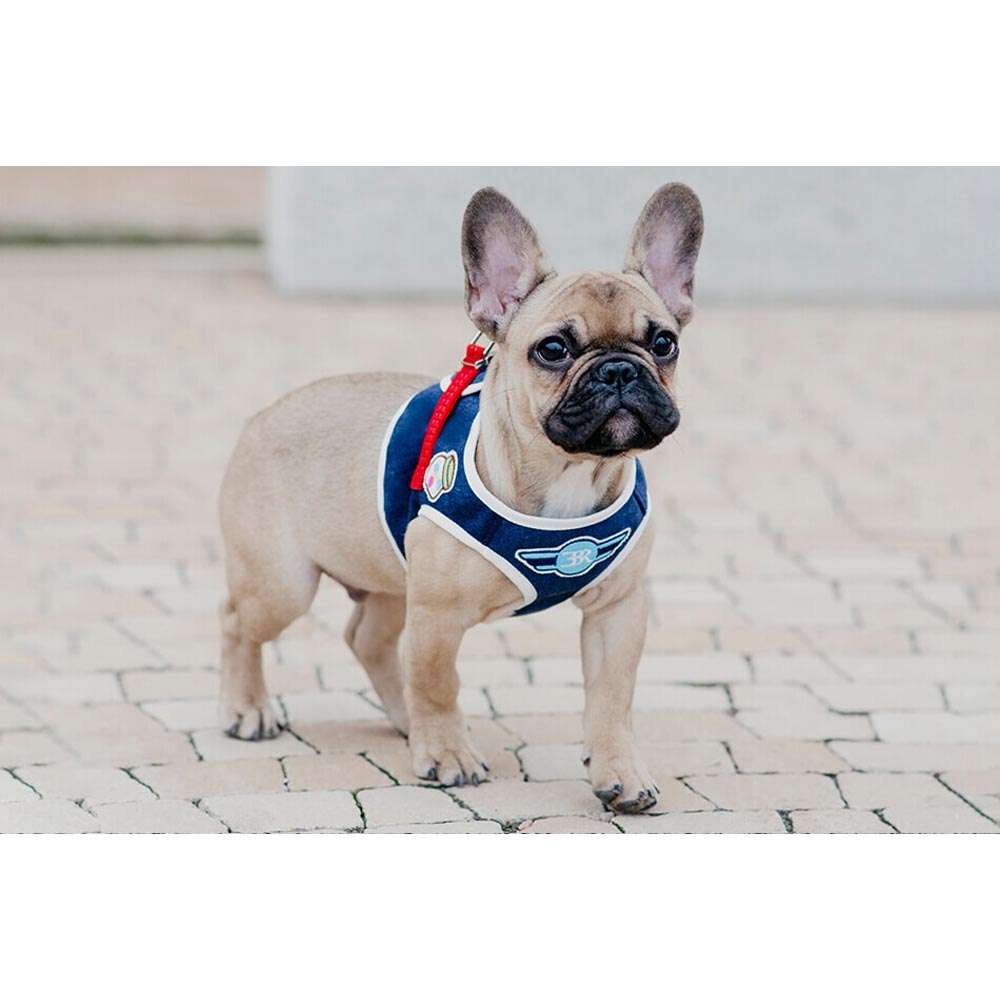 Grey DENIM Dog Harness from Bowl & Bone