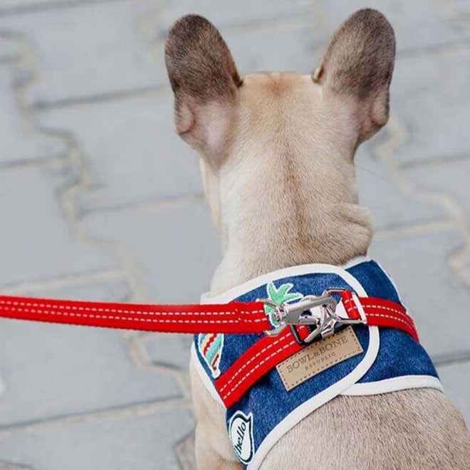 Navy DENIM Dog Harness from Bowl & Bone