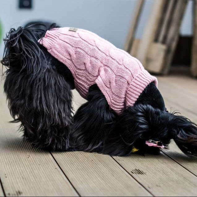 ASPEN Hundepullover in Rosa von Bowl & Bone