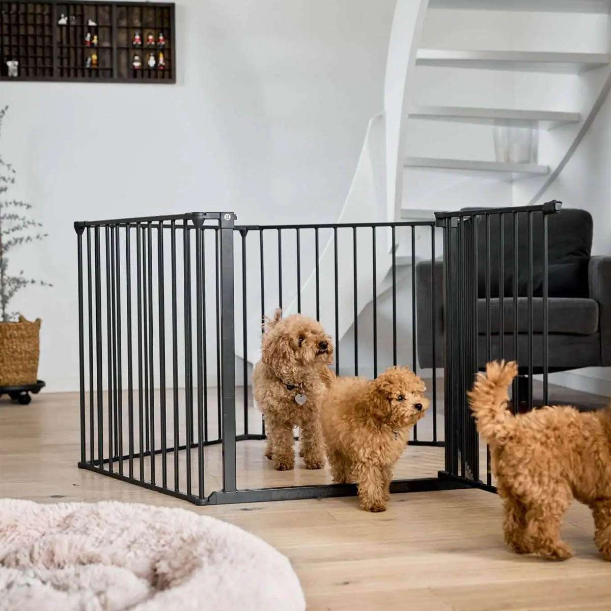 Pet room clearance divider