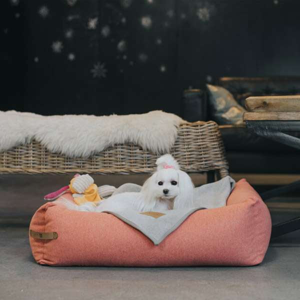 Coral LOFT Dog Bed from Bowl & Bone