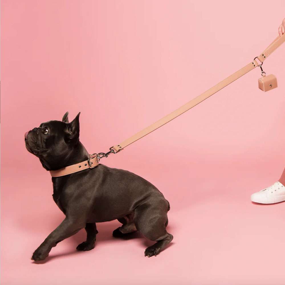 Blush Pink Vegan Apple Leather Original Dog Lead